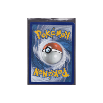 _____’s Pikachu #24